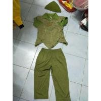 ราคา ชุดแฟนซีเด็กมือสองชุดปีเตอร์แพน (24431143425)
