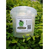 ราคา มะม่วงเบาแช่อิ่ม ขนาด 500 กรัม (7553762940)