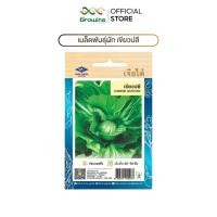 ราคา CHIA TAI เมล็ดพันธุ์ผัก เจียไต๋ เมล็ดผักพื้นบ้าน ผักซอง ผักกาดเขียวปลี (43813917944)