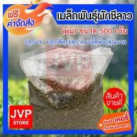 ราคา เมล็ดพันธุ์ผักชีลาว ต้นพุ่ม ขนาด 500 กรัม (3802859381)