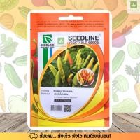 ราคา SL พริกส้ม พริกส้มแบบสั้น ตะวันนา คัดพิเศษ พริกส้มสั้น เมล็ดพันธุ์พริก เมล็ดพริก ตราซีดไลน์ (22853679761)