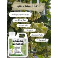 ราคา จุลินทรีย์หน่อกล้วยชนิดเข้มข้น แกลลอน 1 ลิตร (44421941872)