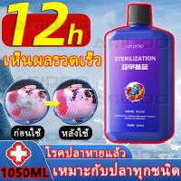 ราคา เมทิลีนบลู 1050ML ฆ่าเชื้อรา เชื้อแบคทีเรีย เกล็ดพอง ท้องบวม ยาปลาป่วย รักษาโรคปลาทุกชนิด ส่งเสริมการฟื้นตัวของปลา (41111240481)