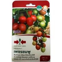 ราคา มะเขือเทศ เพชรชมพู ศรแดง 200เมล็ด (2275789943)