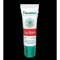 ราคา Himalaya ลิป บาล์ม 10gm (58844436)