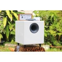 ราคา AUDIOENGINE S8 Powered Active Subwoofer (26978968326)