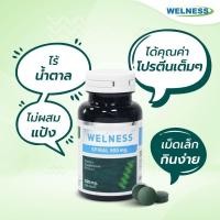 ราคา welness spiral. อาหารเสริมสาหร่าย สไปรอล สไปรูลิน่า เวลเนส 1 กระปุก 100 เม็ด สาหร่ายสไปรูลิน่า แท้100% (20972576904)