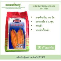 ราคา เมล็ดพันธุ์ข้าวโพดเลี้ยงสัตว์ เมล็ดพันธุ์ข้าวโพดตองเอ็น NNN บรรจุ10กิโลกรัม ขนาดเมล็ด3.5หุน เก็บแห้ง (28900290768)