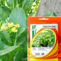 ราคา เมล็ดกวางตุ้ง กวางตุ้งดอก กวางตุ้งต้น พันธุ์กวางตุ้ง กวางตุ้งศรแดง กวางตุ้งโชกุน กวางตุ้งเบบี้ กวางตุ้งขาว กวางตุ้ง 8 (15123066201)