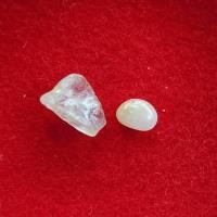 ราคา พระธาตุ พระครูสุภัทรคุณ หลวงปู่คำปัน สุภัทโท วัดสันโป่ง (รหัส B11/7) (29423717782)