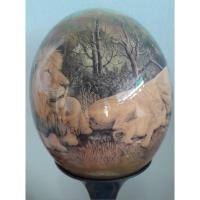 ราคา เปลือกไข่นกกระจอกเทศ รูปครอบครัวสิงโต แบบเดคูพาจ ขนาด 6.5 นิ้ว x 5 นิ้ว จากแอฟริกา (25616198511)