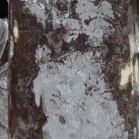 ราคา ลำใยอบแห้ง 500 กรัม จากวัตถุดิบธรรมชาติ 100% (3637181629)