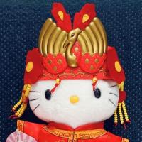 ราคา Chinese Kitty x McDonald's ตุ๊กตาผ้าของสะสม สินค้าใหม่มือหนึ่ง (27374006273)