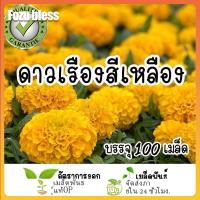 ราคา เมล็ดพันธุ์ ดาวเรืองสีเหลือง ต้นเตี้ยประดับ สีเหลืองคูณ เมล็ดพันธุ์ดาวเรือง สายพันธุ์ OP แท้ อัตราการงอกสูง 100 เมล็ด (43170558818)