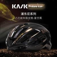 ราคา หมวกกันน็อค KASK Protone Icon สำหรับจักรยานเส้นทาง สีดำและทอง (40720938608)