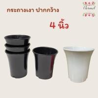 ราคา กระถางต้นไม้ 4 นิ้ว เซท 12 ใบ กระถางต้นไม้พลาสติก สีดำทรงสูง กระถางแคนตัสสีดำ ปากกว้าง 4 นิ้ว สูง 4.5 นิ้ว (9553310572)