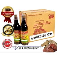 ราคา 1ลัง12ขวดสมุนไพรเถาวัลเปรียงช้างทอง (27159181966)