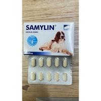 ราคา SAMYLIN Medium Breed อาหารเสริมบำรุงตับ ชนิดเม็ด (หมดอายุปี 01/2027) แบ่งขาย 1 แผง 10 เม็ด (28126684725)