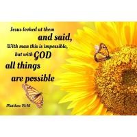 ราคา 5ง งIY ภาพวาดเพชรเต็มรอบเพชรดอกทานตะวันผีเสื้อจดหมายเพชรเย็บปักถักร้อยตกแต่งบ้าน (24046328626)