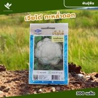 ราคา เมล็ดพันธุ์ กะหล่ำดอก พอลล่า ตราเจียไต๋ บรรจุ 100 เมล็ด (0.5 กรัม) (25162242109)