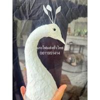 ราคา หัวนกยูง head of peacock #ส่วนหัวนกยูง #หัวนกยูง (43668165837)