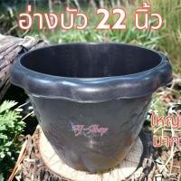 ราคา กระถางไซส์ใหญ่ ขนาด 22 นิ้ว กระถางจัมโบ้ อ่างบัว อ่างปลา กระถางใหญ่ (21889439426)