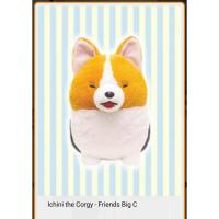 ราคา (LotJP)ตุ๊กตาน้องหมา Corgy ตัวใหญ่น่ากอดขนาด 48 cm.ส่งตรงจากญี่ปุ่น (23178144248)