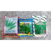 ราคา เมล็ดพันธุ์ผักบุ้ง พันธุ์ไผ่เขียวตราลูกโลก/ พันธุ์ใบไผ่ทองพูนตรากำไลทอง/ พันธุ์ไผ่ 9 ตราเทวดา (25865593785)