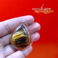 ราคา จี้พญาเล็บครุฑ จับเงินจับทอง พญาเล็บครุฑ เล็บพญาครุฑ (29724726467)