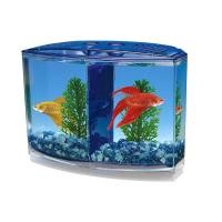 ราคา ชุดตู้ปลากัด ตู้ปลาปลากัด โหลปลากัด 2 ช่อง พลาสติกใส เลี้ยงปลาได้2ตัว กล่องใส่ปลากัด พร้อมส่ง (24737858400)