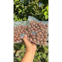 ราคา แมคคาเดเมียอบเนย 500 กรัม แถม อบธรรมชาติ 500 กรัม (29855185118)