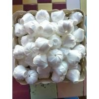 ราคา เหรียญโปรยทานกุหลาบตูม ตัวเปล่า 50 ชิ้น (28069540345)