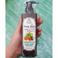 ราคา แชมพู / ครีมนวด ยังเฮิร์บ สมุนไพรสกัด 100% ขนาด 240 มล. Young Herb Herbal Hair Shampoo 240 ml. (7340792364)