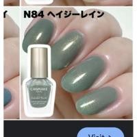 ราคา ทาเล็บ แคนเมค canmake colorful nail N84, 8ml. (41307041186)