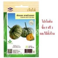 ราคา 5 แถม 1 คละได้ เมล็ดพันธุ์ ฟักทอง ลายข้าวตอก F1 เจียไต๋ เมล็ดผัก เมล็ดพันธุ์ผัก เมล็ดพันธุ์พืช (22561939758)