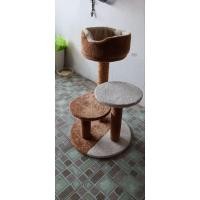 ราคา คอนโดแมวมือสองสภาพใหม่ (23679049801)