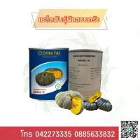 ราคา ฟักทองศรีเมือง 16(เจียไต๋) (18852010172)