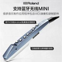 ราคา Roland Roland เครื่องเป่าผมเครื่องมือลม AE01 ae01c ความบันเทิงเริ่มต้นอิเล็กทรอนิกส์แซ็กโซโฟน Gourd ผ้าไหมขลุ่ย (54900282286)