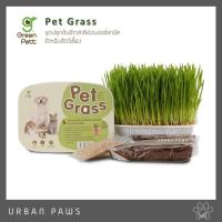 ราคา Green Pett - Pet Grass ชุดต้นข้าวสาลีอ่อนออร์แกนิค สำหรับสัตว์เลี้ยง (7395576303)