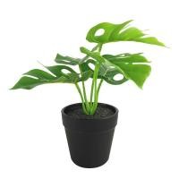 ราคา HomePro ต้นไม้ประดิษฐ์ใบเขียว LALA HOME MN03 แบรนด์ SPRING (40111745336)