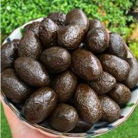ราคา ลูกสมอดำแช่อิ่ม ครึ่งโล 500g สมอดำอบแห้ง อร่อยชุ่มคอ สมอไทยโบราณ (41058178793)