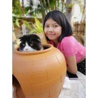 ราคา โอ่งแมว บ้านแมวดินเผา 16 นิ้ว​ #คุณภาพสูงจากหมู่บ้านดินเย็น​ ❤️ (15449698886)