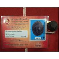 ราคา เบี้ยแก้หลวงปู่บุญวัดกลางบางแก้วคลุกรักข้างในมีปรอทวิ่งให้พร้อมเกียรติบัตรรับรองพระแท้ครบชุดจังหวัดนครปฐม (28993203892)