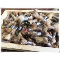 ราคา ตะกรุดหนังเสื อไฟ เมตตามหาเสน่ห์ มหาอำนาจ แคล้วคลาดปลอดภัย (9712453203)