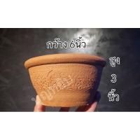 ราคา กระถางปลูกต้นไม้ 6-7นิ้ว (ขายเป็นคู่) (5256044921)