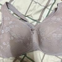 ราคา (ส่งฟรี/ของใหม่ไม่มีป้าย/B40) Sabina ซาบีน่า เสื้อชั้นใน (ไม่มีโครง) Habpy Adult รหัส HBON4037BR สีน้ำตาล (25115230428)