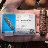 ราคา ตะกรุดหนังหน้าผากเสือแห่งบรมครูหลวงปู่สว่าง วัดเทียนถวาย (ปทุมธานี) พร้อมบัตร (43371403379)