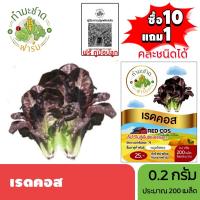 ราคา ทำมะชาดฟาร์ม (ซื้อ10แถม1) เมล็ดพันธุ์ เรดคอส ขนาด0.2กรัม ประมาณ200เมล็ด RED COS ROMAINE LETTUCE ผักคอส ผักสลัด เมล็ด (4235813262)