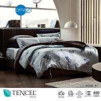 ราคา Omazz ปลอกนวม 100x90 นิ้ว รุ่น TENCEL PRINT รหัส REINE 01 (12341304889)