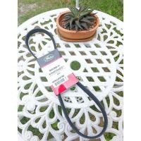 ราคา สายพานหน้าเครื่อง Gates สายพานไดชาร์จ ฟอร์ดเฟียสต้า Ford Fiesta 1.4/1.5/1.6 (16039209581)